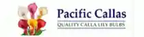 Pacificcallas Promo Codes 