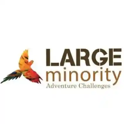 Large Minority Promo Codes 